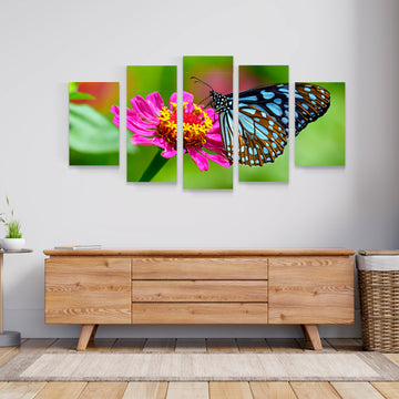 BUTTERFLY, Set 5 piese